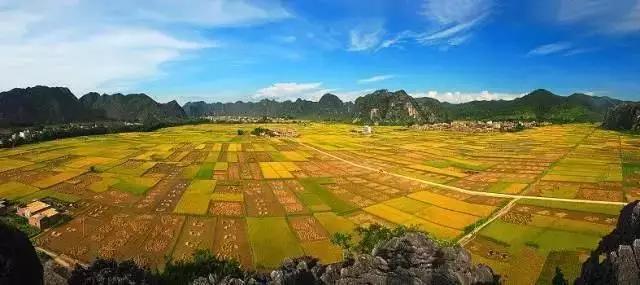 中國(guó)經(jīng)濟(jì)體制改革基金會(huì)全國(guó)第一！中國(guó)改革熱度第三方評(píng)估出爐，云浮宣傳系數(shù)在全國(guó)343個(gè)城市居首位                             